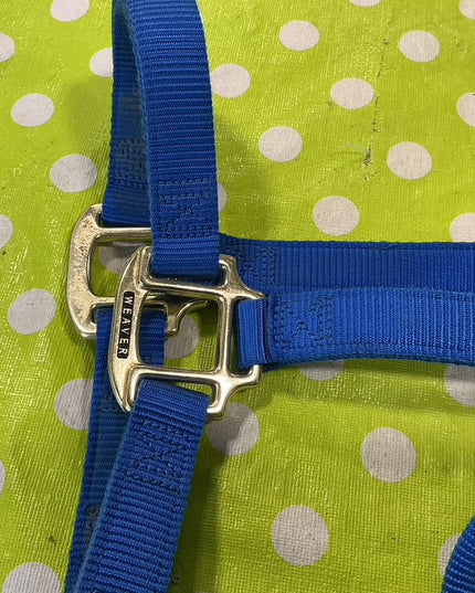 Halter Nylon Blue Yearling 
