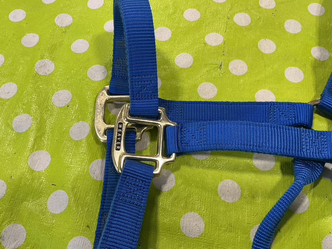 Halter Nylon Blue Yearling 