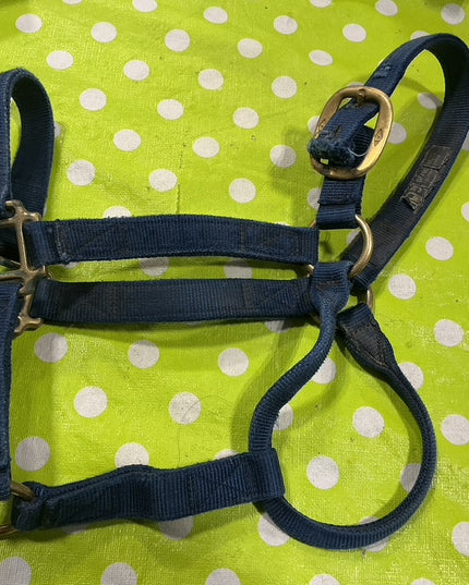 Halter Nylon Blue 