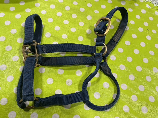 Halter Nylon Blue 