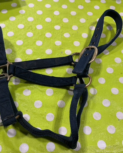Halter Nylon Blue Med 
