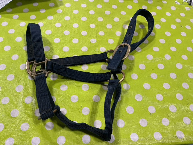 Halter Nylon Blue Med 