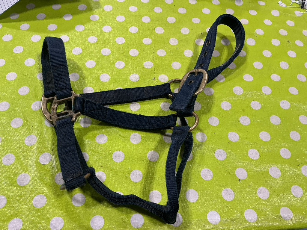 Halter Nylon Blue Med