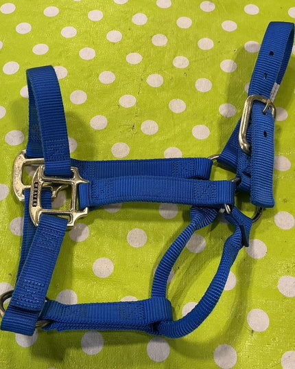 Halter Nylon Blue Yearling 