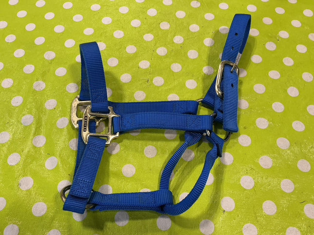 Halter Nylon Blue Yearling 