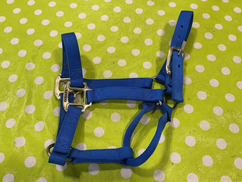Halter Nylon Blue Yearling