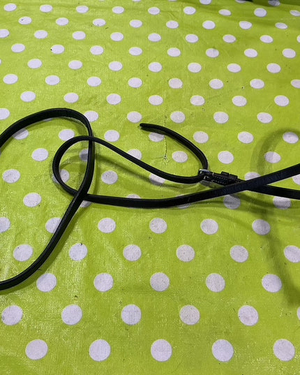 English Nose Band