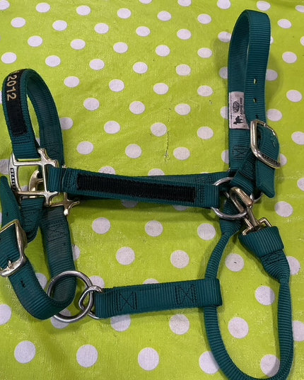 Halter Nylon Green Average Trophy 