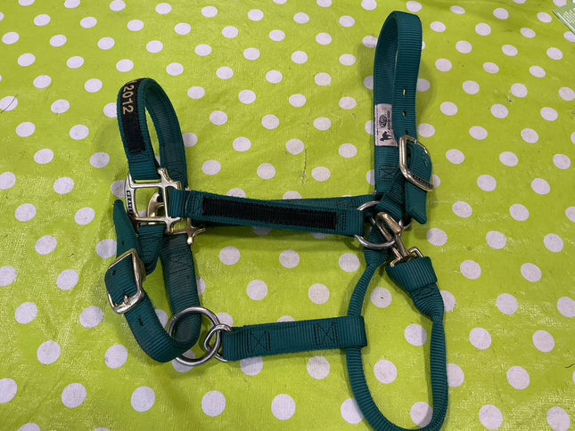 Halter Nylon Green Average Trophy 