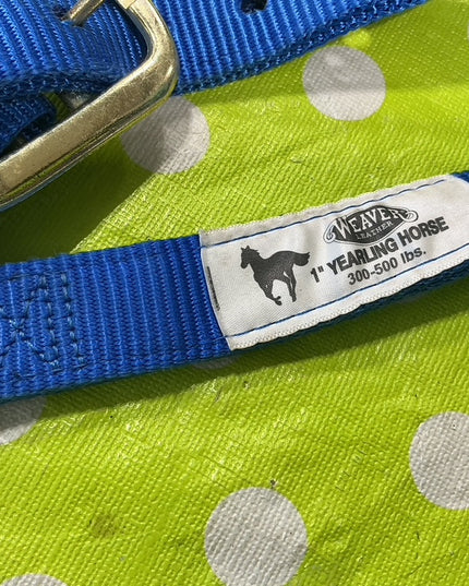 Halter Nylon Blue Yearling 
