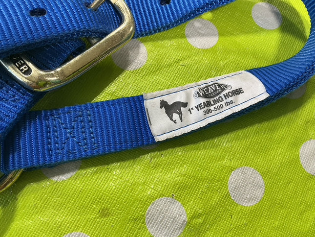 Halter Nylon Blue Yearling 