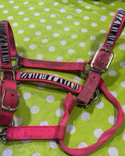 Halter Nylon Pink Zebra Average