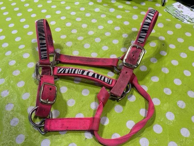 Halter Nylon Pink Zebra Average