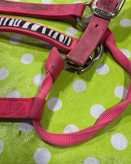 Halter Nylon Pink Zebra Average