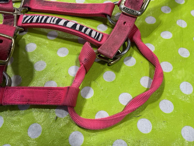 Halter Nylon Pink Zebra Average