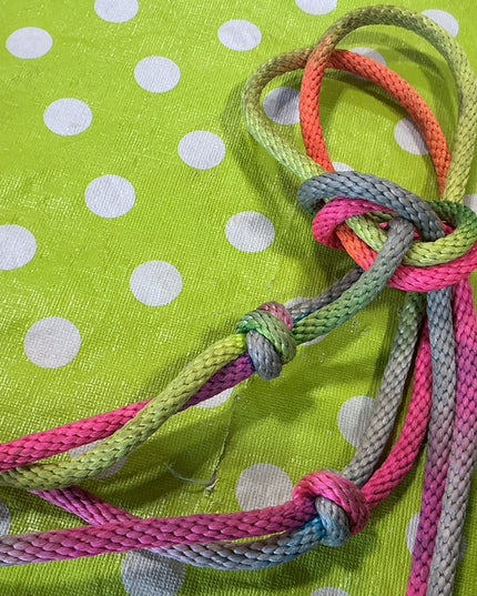 Halter Rope Rainbow Pony 