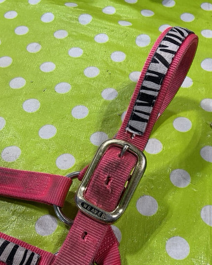 Halter Nylon Pink Zebra Average