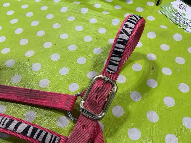 Halter Nylon Pink Zebra Average