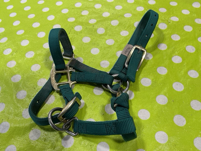 Halter Nylon Green Suckling 