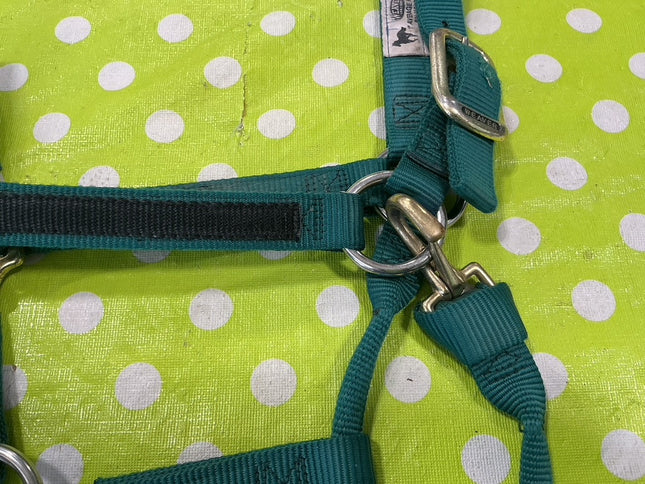 Halter Nylon Green Average Trophy 