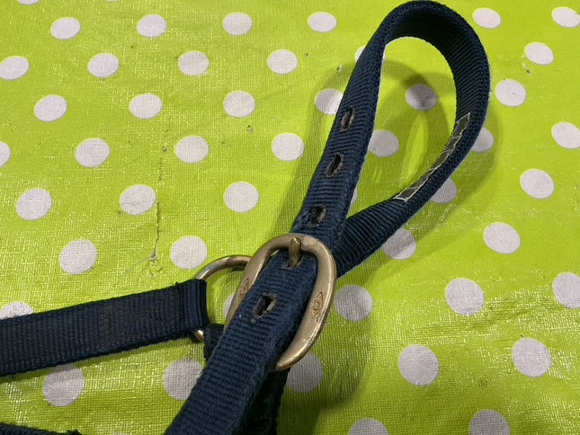 Halter Nylon Blue Med 