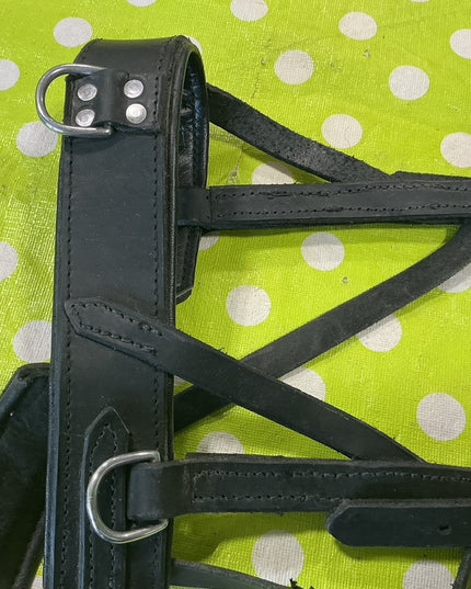 Lunge Cavesson Black Leather 