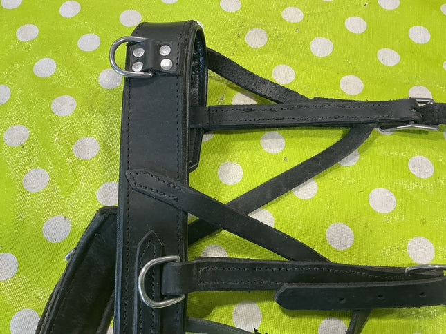 Lunge Cavesson Black Leather 