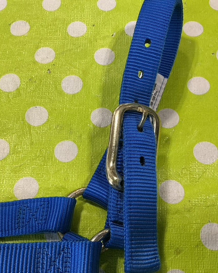 Halter Nylon Blue Yearling 