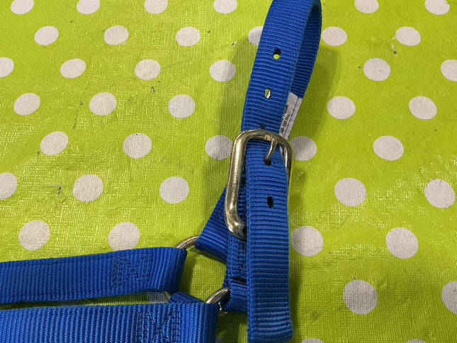 Halter Nylon Blue Yearling 