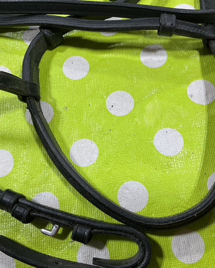 English Bridle Black Cob