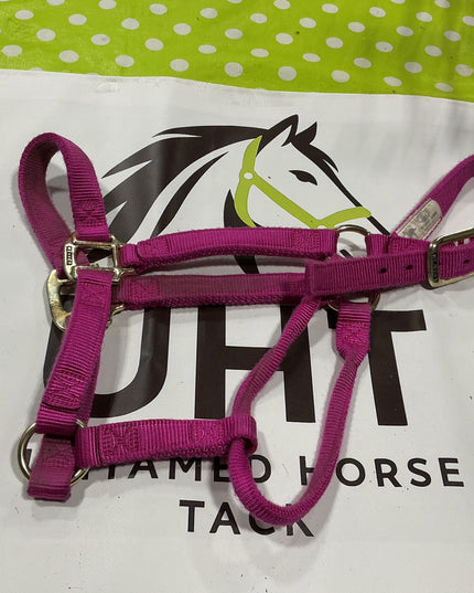 Halter Nylon Pink Average