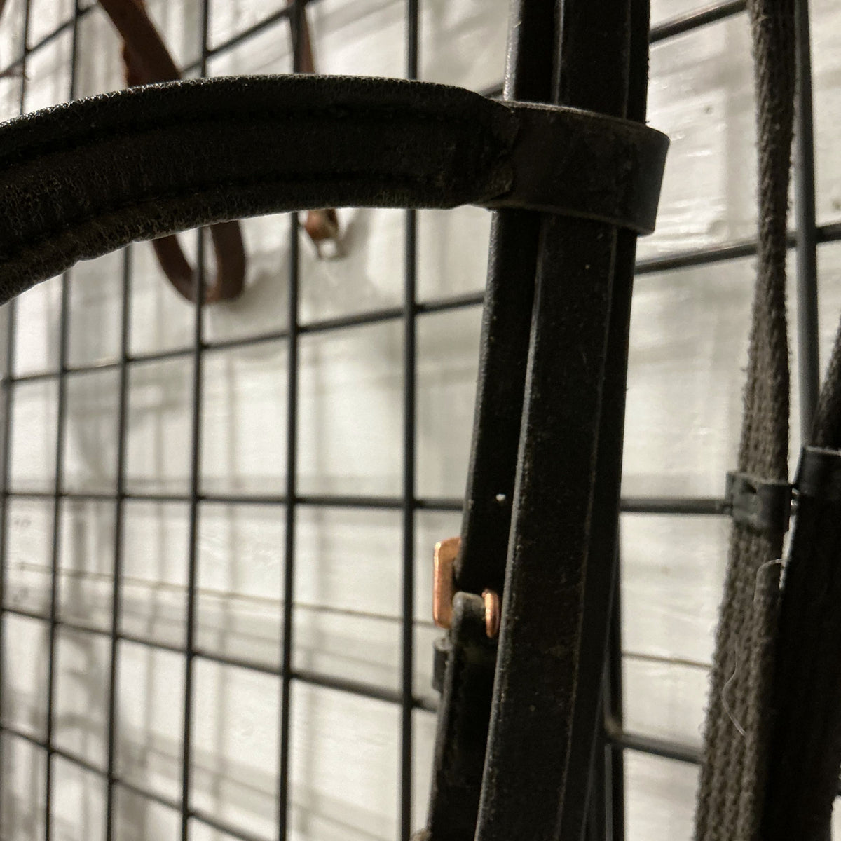 English Bridle Black Rose Gold & Reins COB