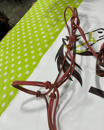 Halter Rope & Lead Pink