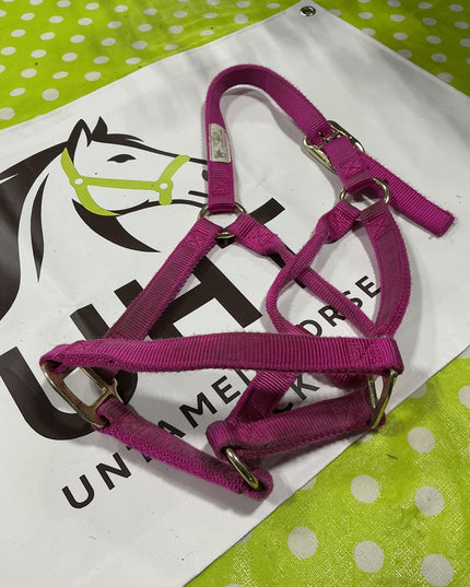 Halter Nylon Pink Average