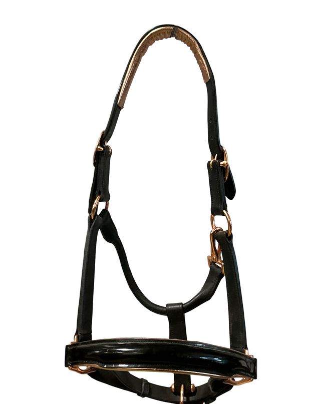 Halter Leather Black Rose Gold & Lead