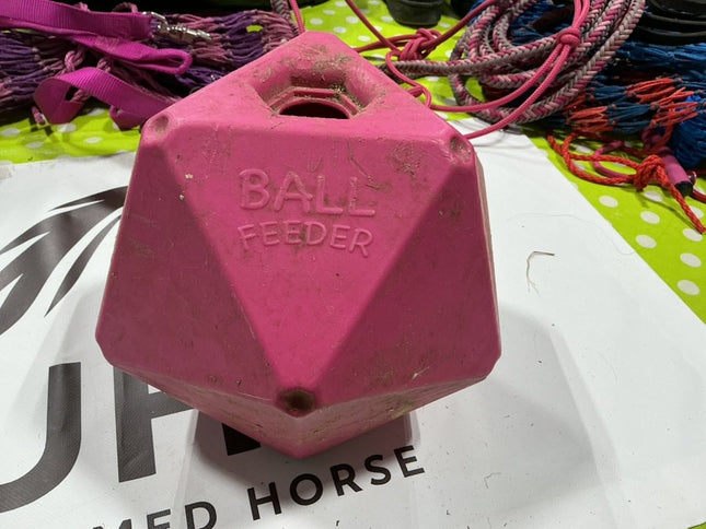Ball Feeder Pink