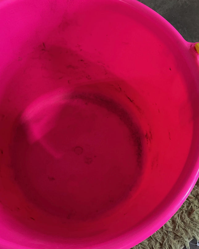 Much Tub 70 Quart Pink 