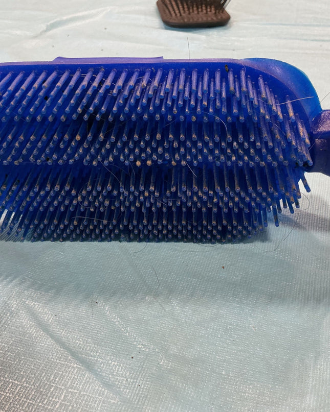 Grooming Curry Comb Blue 