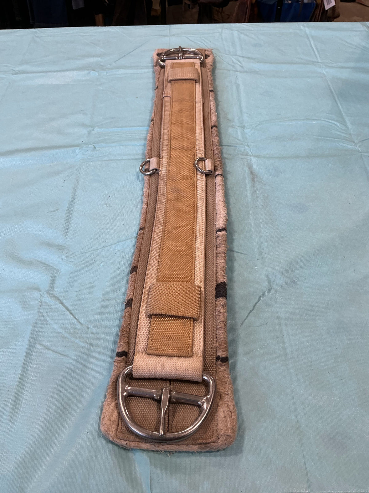 Western Cinch 34"