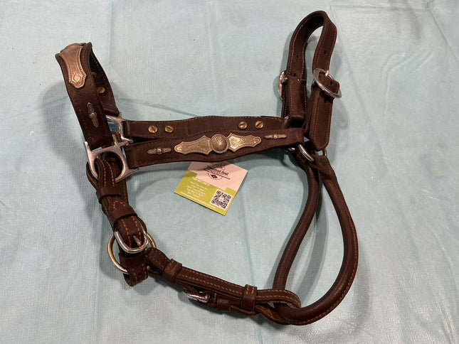 Halter Leather Silver Show 