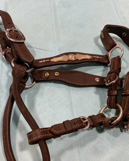 Halter Leather Silver Show 