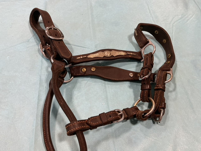 Halter Leather Silver Show 