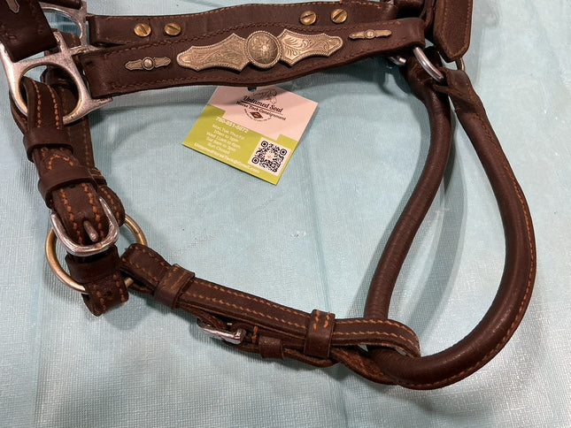 Halter Leather Silver Show 