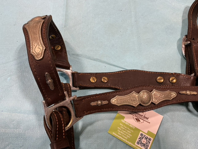 Halter Leather Silver Show 
