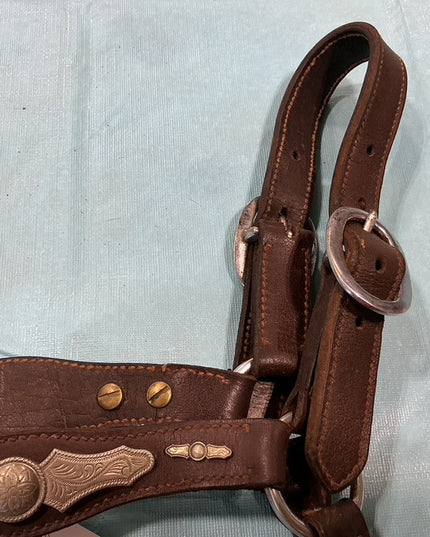 Halter Leather Silver Show 
