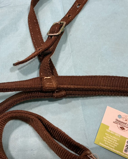 Western Tie Down Nylon Brown