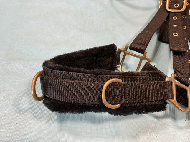 Halter Cavesson Black Nylon