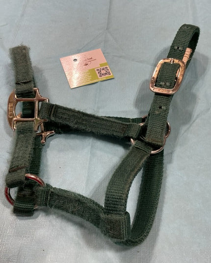 Halter Nylon Green Wealing