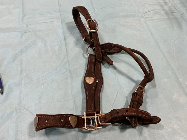 Halter Leather Show Brown/Silver
