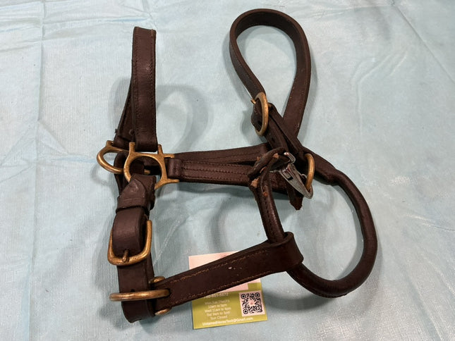 Halter Brown Leather
